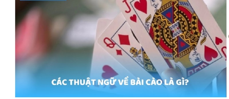 Thuật ngữ trong bài cào